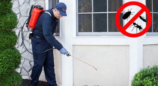 İhsangazi Dezenfeksiyon böcek ilaçlama ve haşere kontrolü — ilaclama-tr.com
